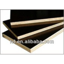 construction plywood made in China